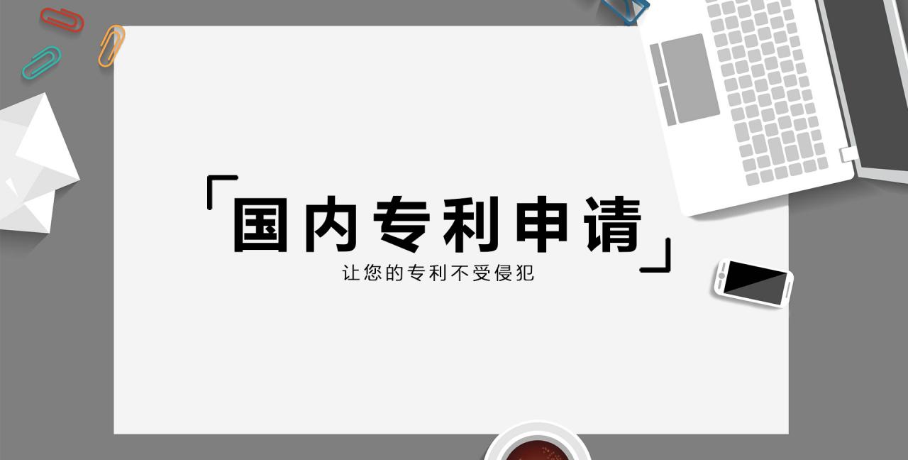 國內專(zhuān)利申請